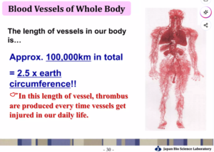 title | seo_target_keyword | Naturotheek Nederland