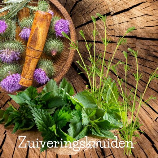 Detox protocollen Naturotheeknl